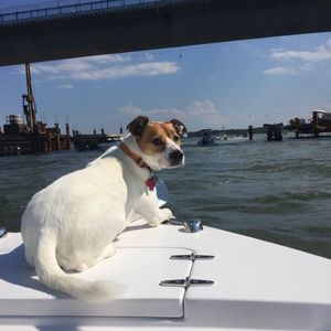 Meet your Posher, Robert